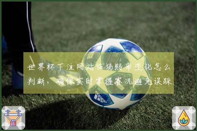 世界杯下注网站临场赔率变化怎么判断，确保实时掌握赛况避免误踩雷？