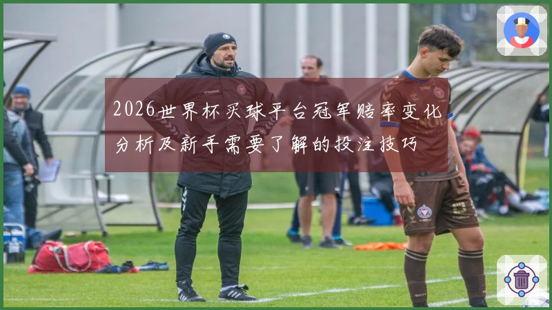 2026世界杯买球平台冠军赔率变化分析及新手需要了解的投注技巧