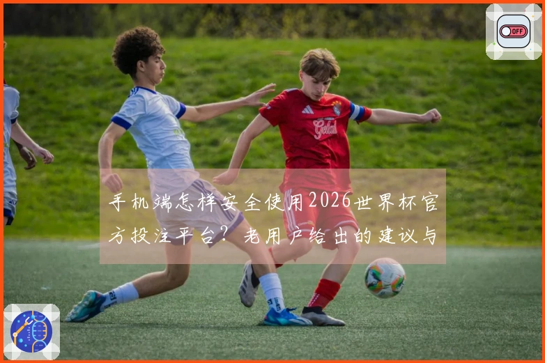 手机端怎样安全使用2026世界杯官方投注平台？老用户给出的建议与注意事项