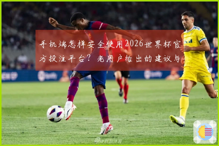 手机端怎样安全使用2026世界杯官方投注平台？老用户给出的建议与注意事项