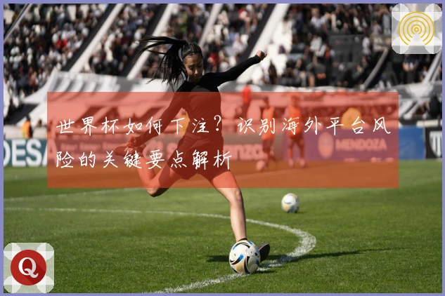 世界杯如何下注？识别海外平台风险的关键要点解析