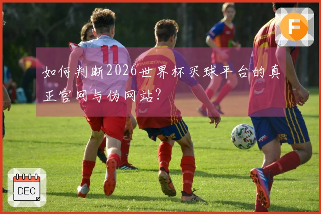 如何判断2026世界杯买球平台的真正官网与伪网站？