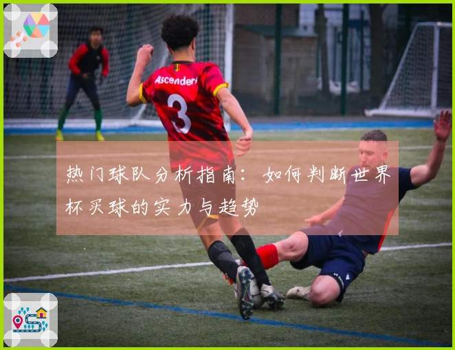 热门球队分析指南：如何判断世界杯买球的实力与趋势